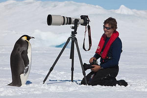 ペンギン　撮影カメラ