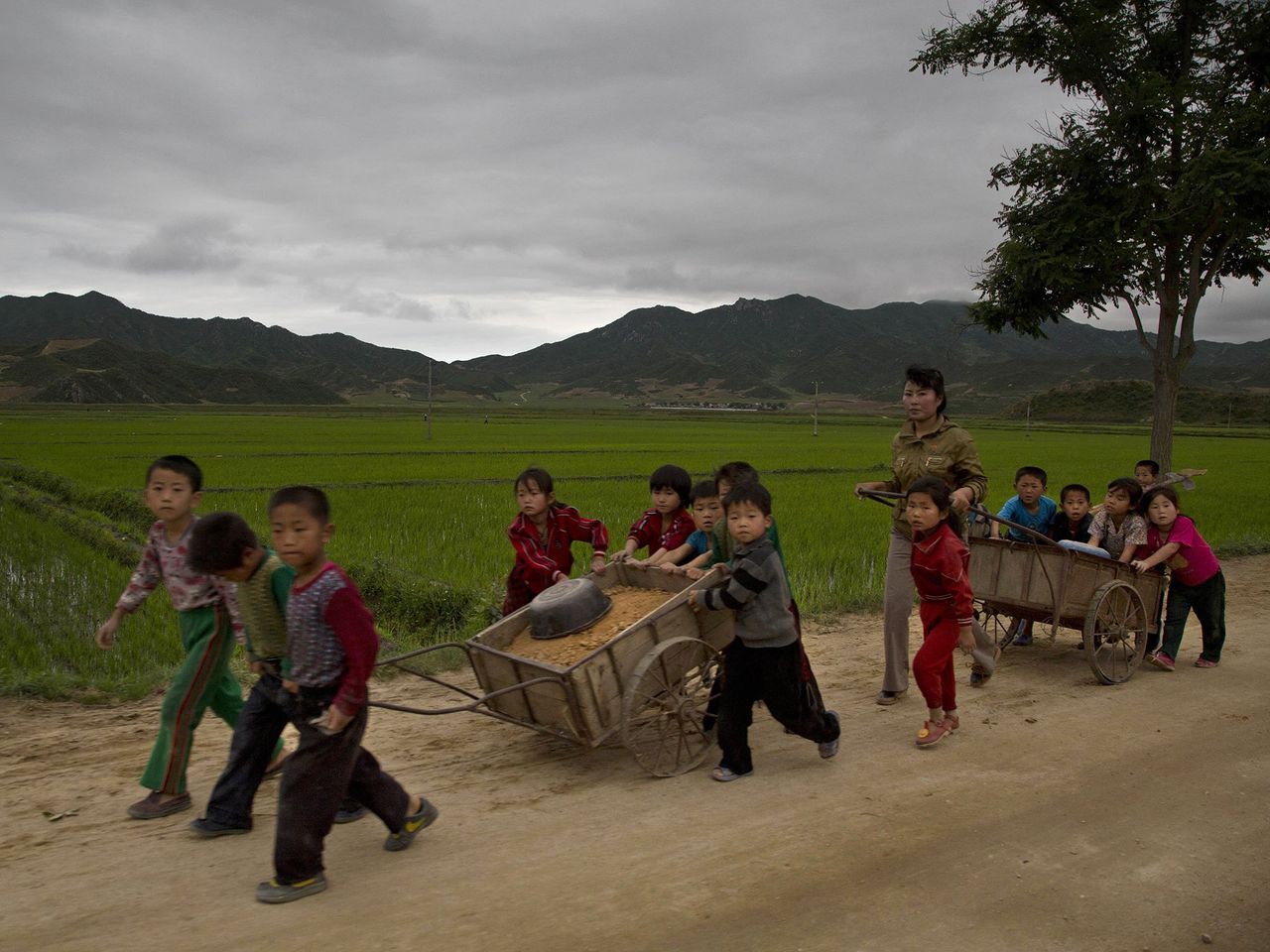 北朝鮮　地方　生活　風景　子供