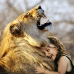ライオン　子供　抱きつく