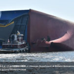 米ジョージア州沖で全長約２００メートルの貨物船が横倒しに/Georgia Department of Natural Resources