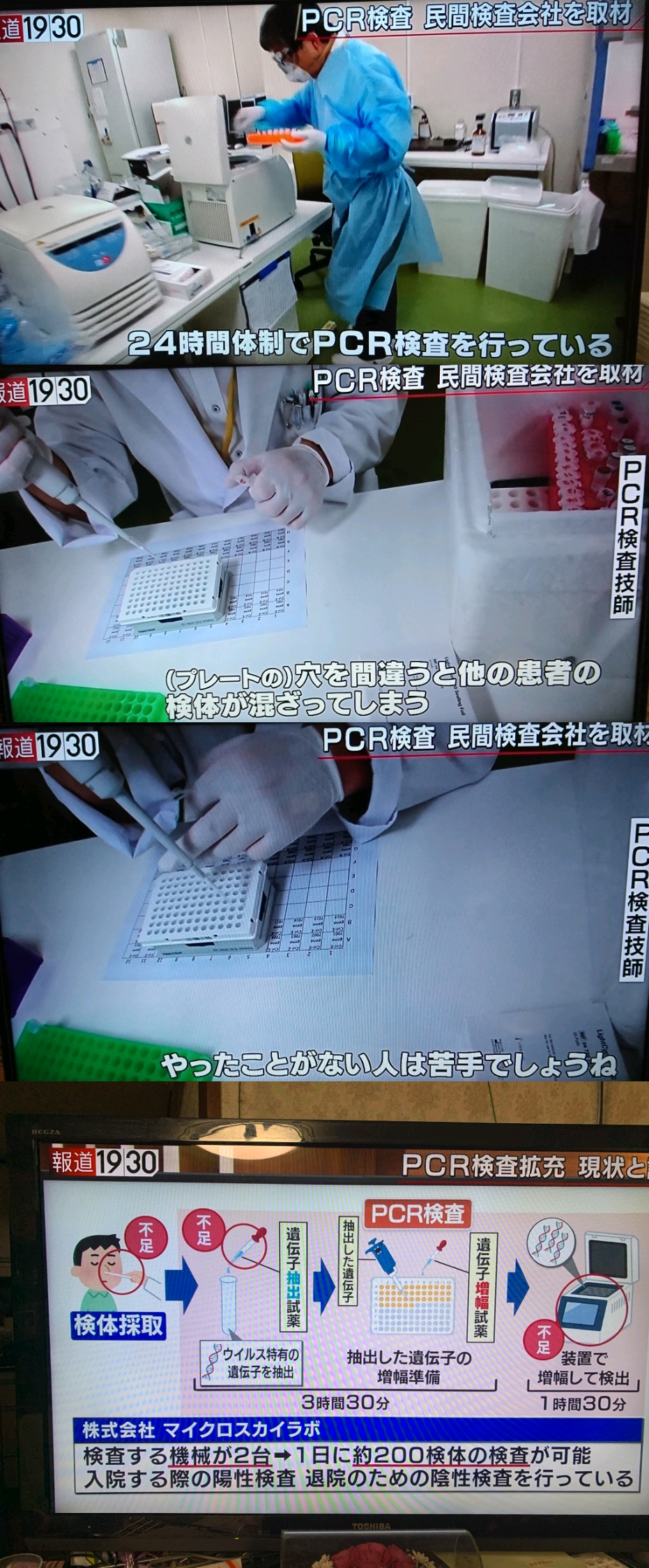 日本　PCR検査