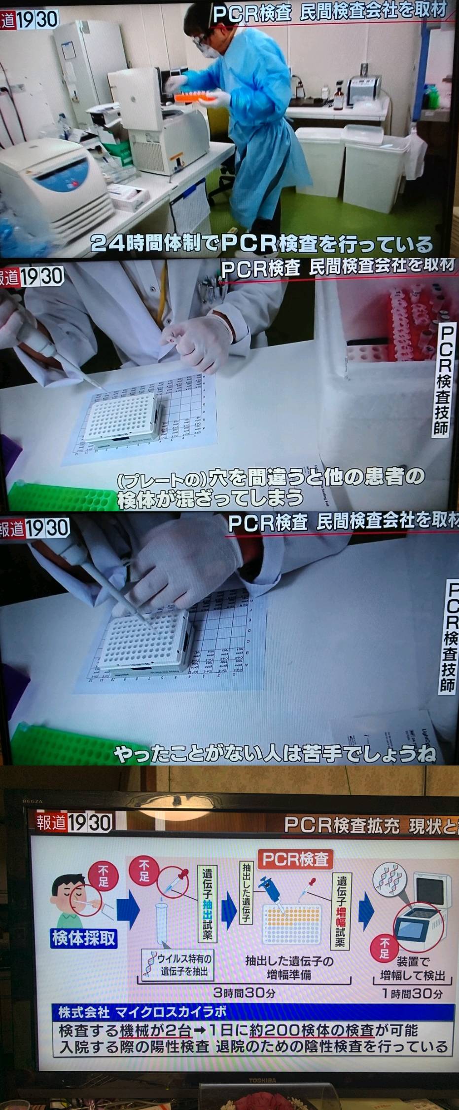 日本　PCR　手順
