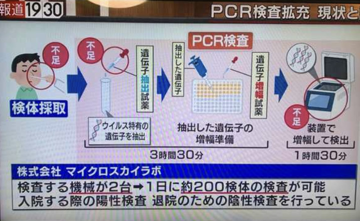 日本のPCR検査