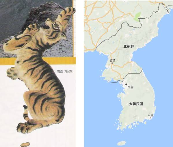 朝鮮半島　トラ