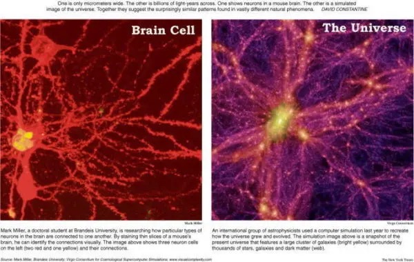 宇宙の構造と脳神経の構造
