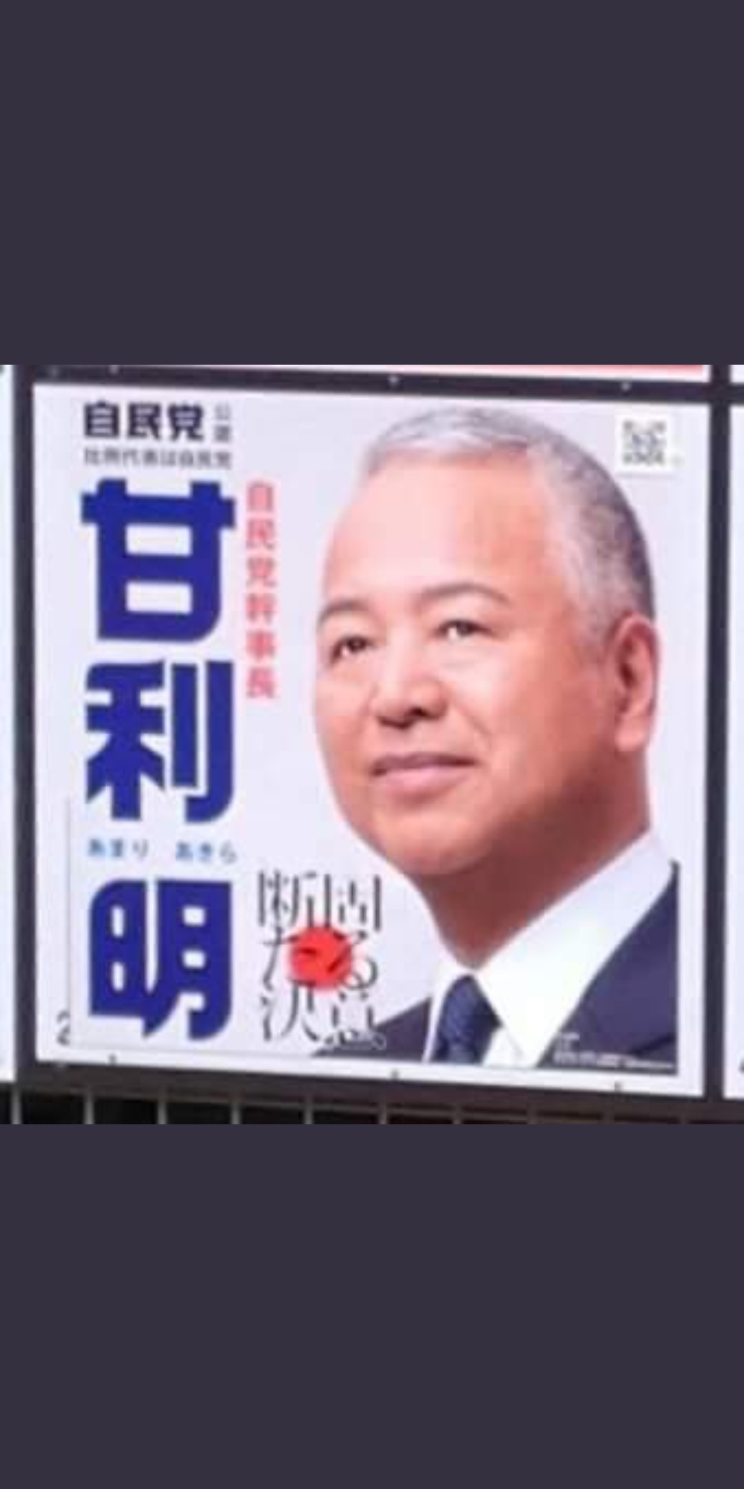 甘利明　選挙区　ポスター