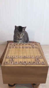 猫　将棋