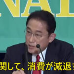岸田総理　減税　買い控え