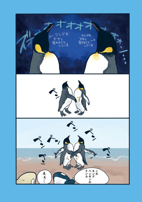 ペンギンの喧嘩