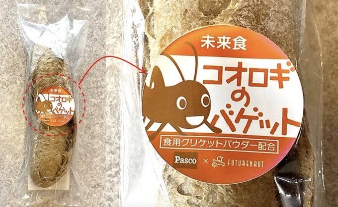 Pasco(敷島製パン)　コオロギ