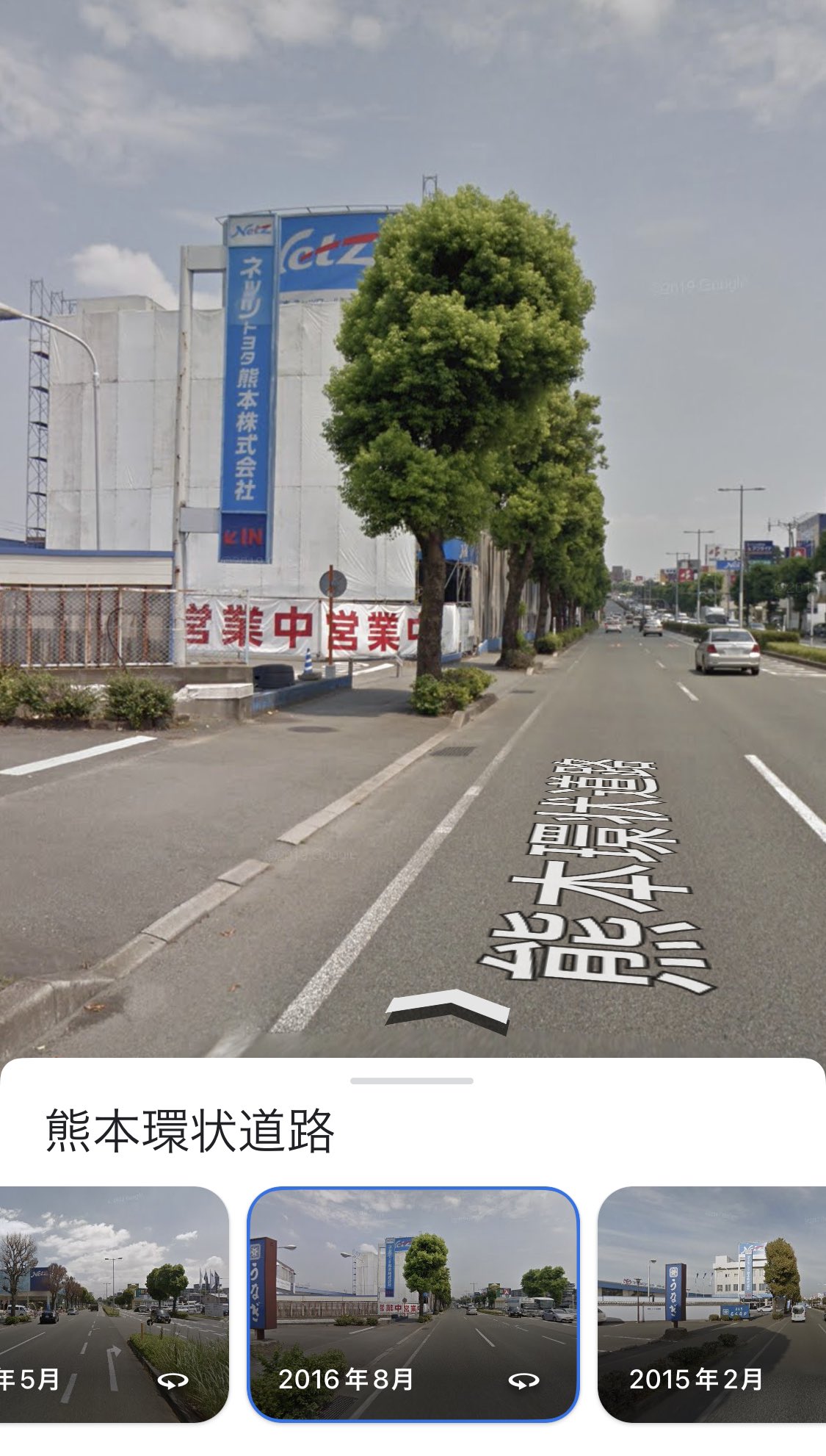 ネッツ 街路樹